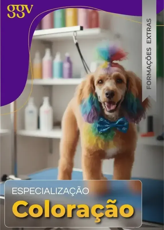 Formação Extra 2