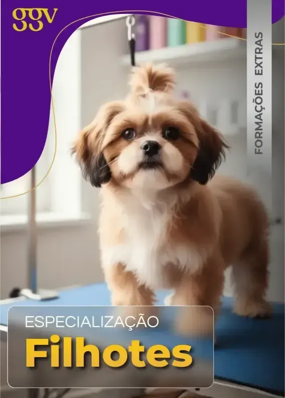 Formação Extra 3